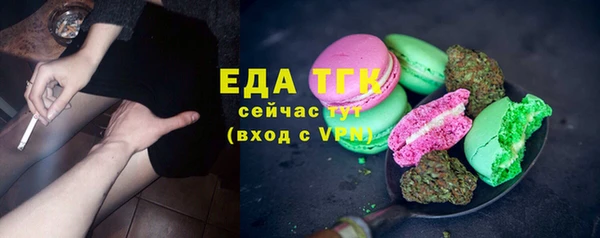 индика Карталы