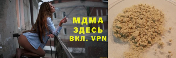 стаф Касимов