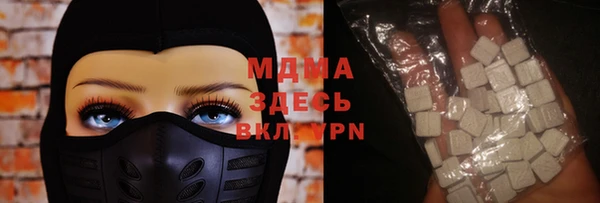 стаф Касимов