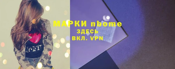 индика Карталы