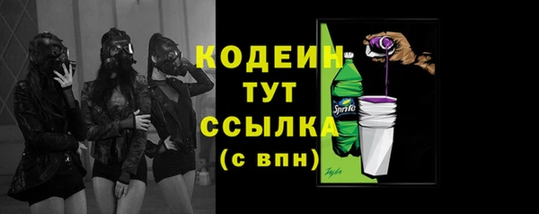 индика Карталы