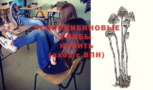 бошки Каменногорск