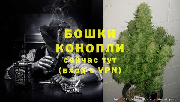 MDMA Premium VHQ Каменка