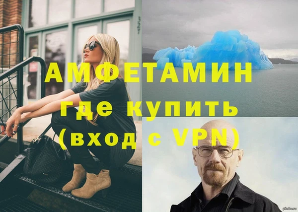 стаф Касимов