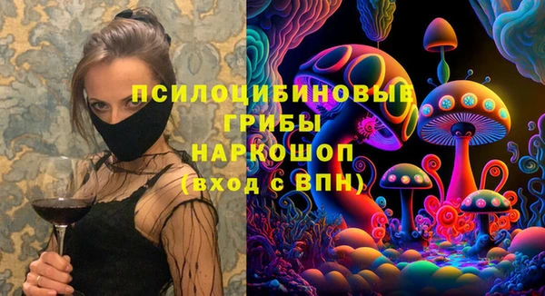 стаф Касимов