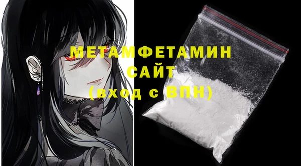 шишки Тавда