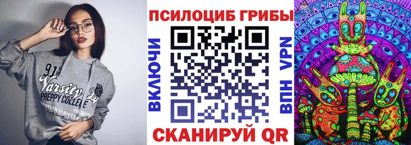 Псилоцибиновые грибы Psilocybe  Тюмень 